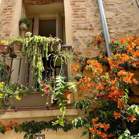 Maison Historique Rue Vermeille Argeles Sur Mer Ngoại thất bức ảnh
