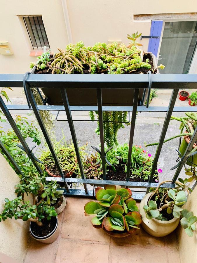 Maison Historique Rue Vermeille Argeles Sur Mer Ngoại thất bức ảnh