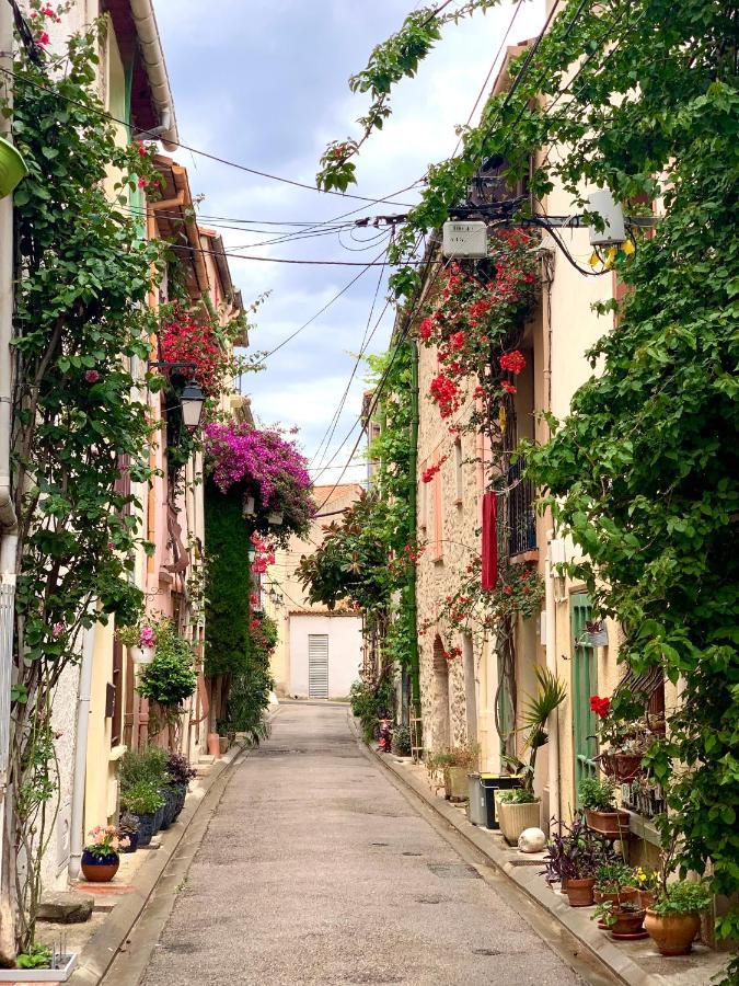 Maison Historique Rue Vermeille Argeles Sur Mer Ngoại thất bức ảnh