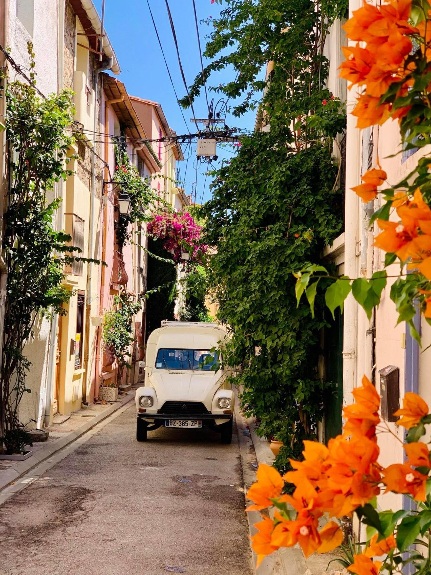 Maison Historique Rue Vermeille Argeles Sur Mer Ngoại thất bức ảnh